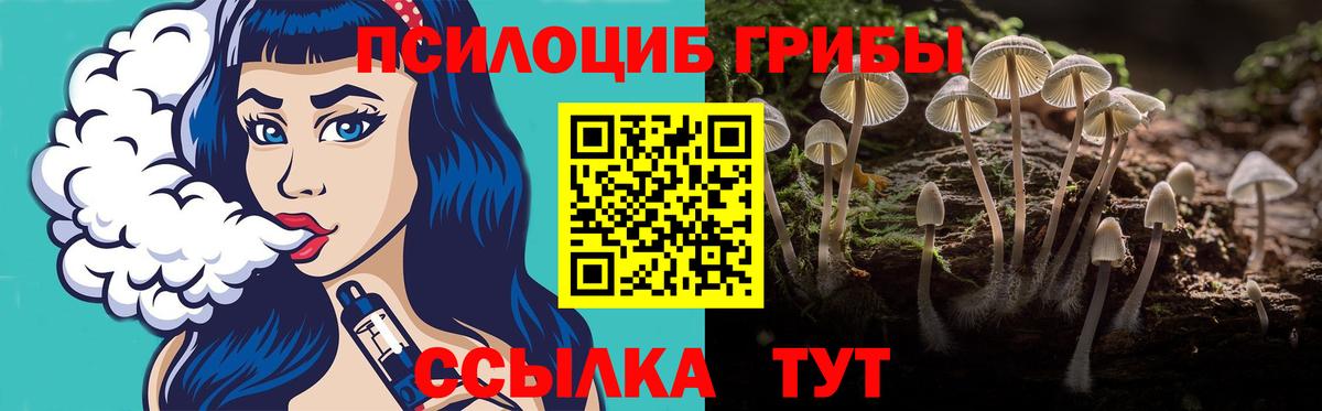 Псилоцибиновые грибы GOLDEN TEACHER Избербаш